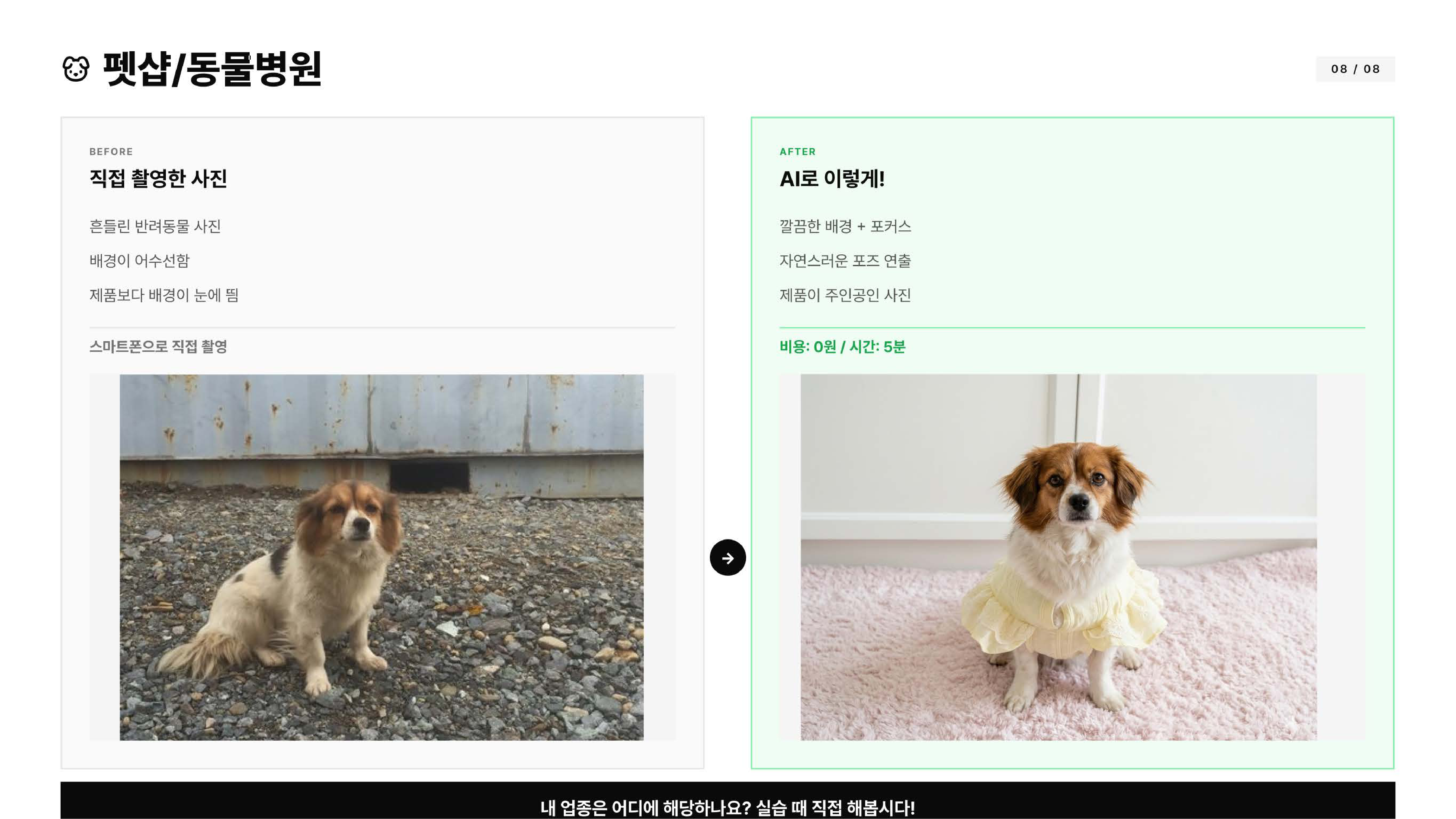 펫샵/동물병원 Before After