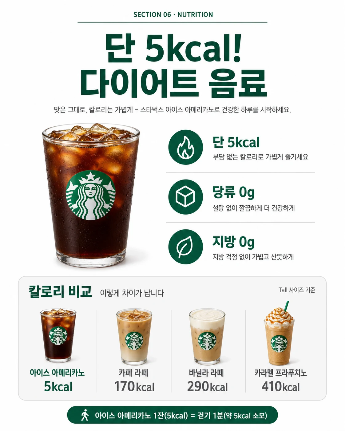 6. 영양